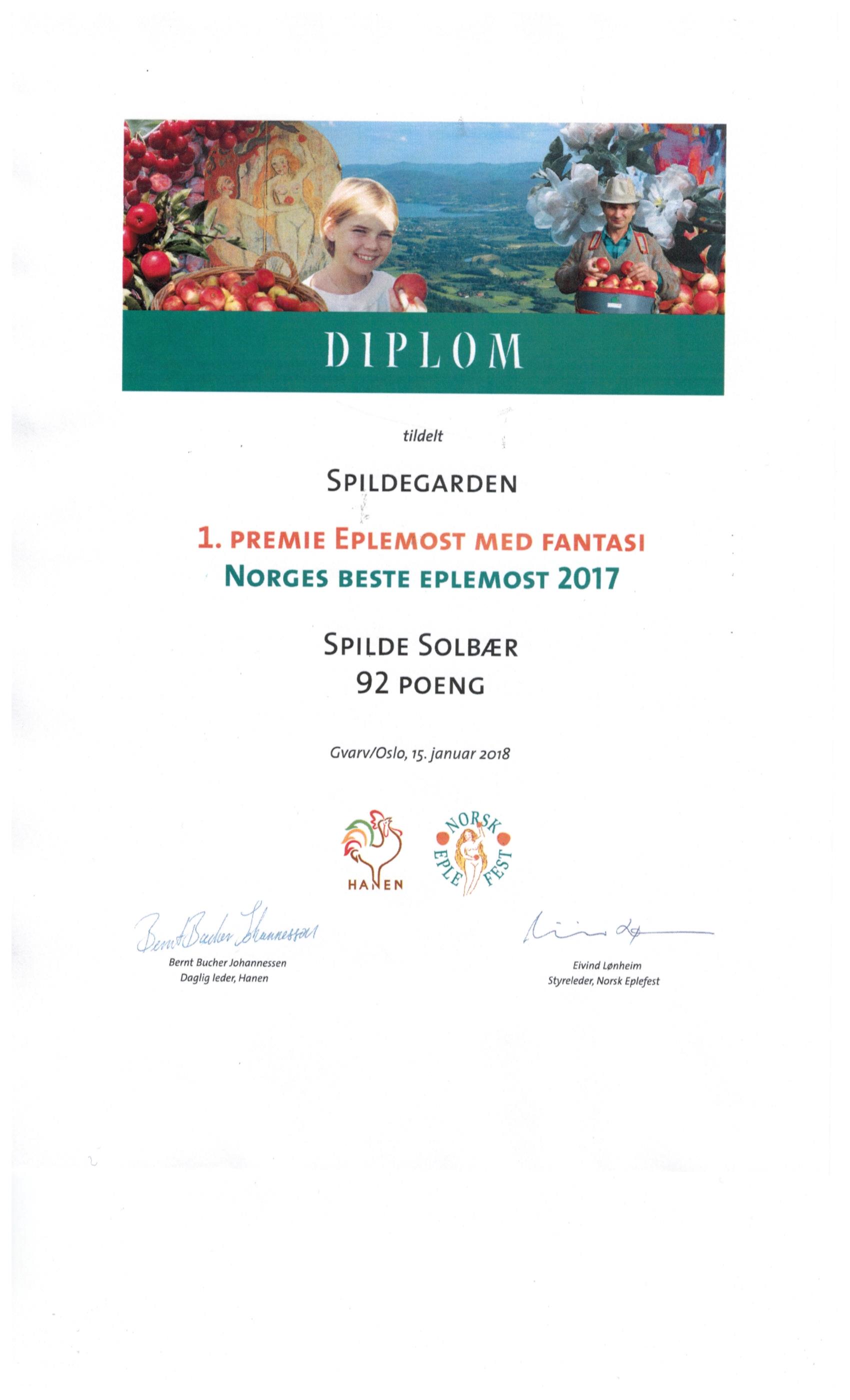 Diplom%20Spilde%20Solb%C3%A6r%202017