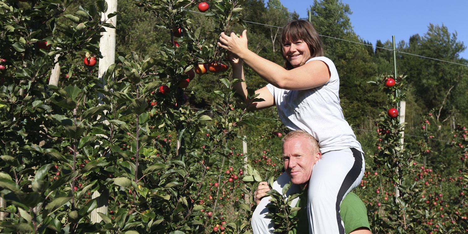 Gh%20og%20eg%20plukker%20eple