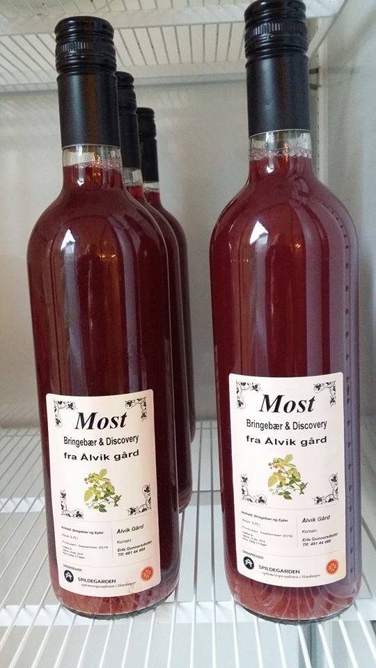 Most%20%C3%85lvik%20g%C3%A5rd%202016