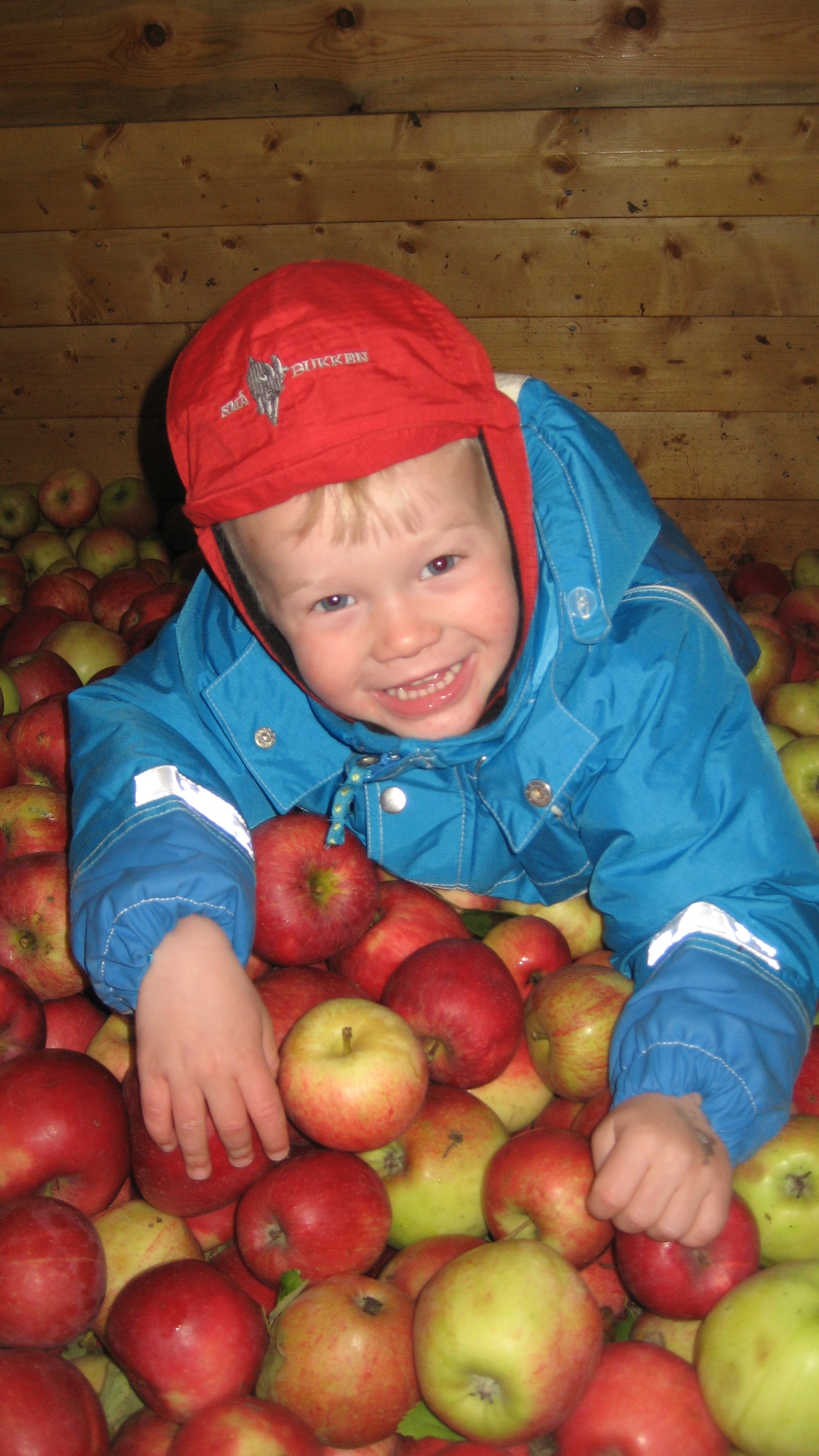 Barnehagebes%C3%B8k%20og%20safting%20041