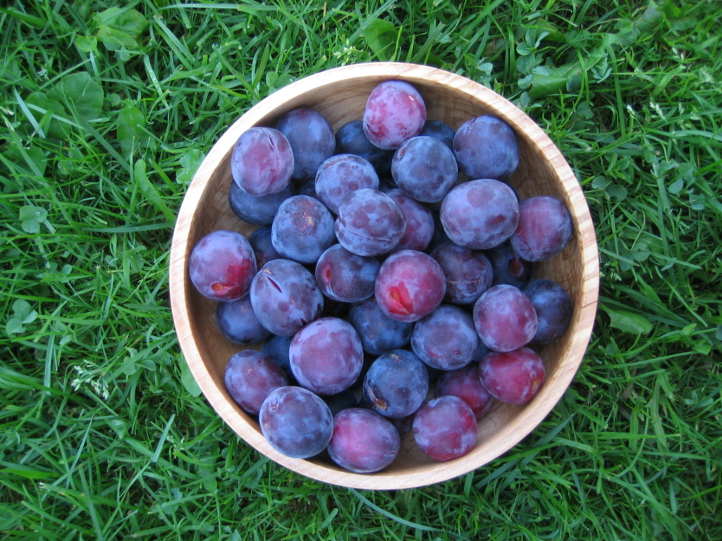 Klassefest%20Geir%20Henning%20og%20Plommer%202005%20024