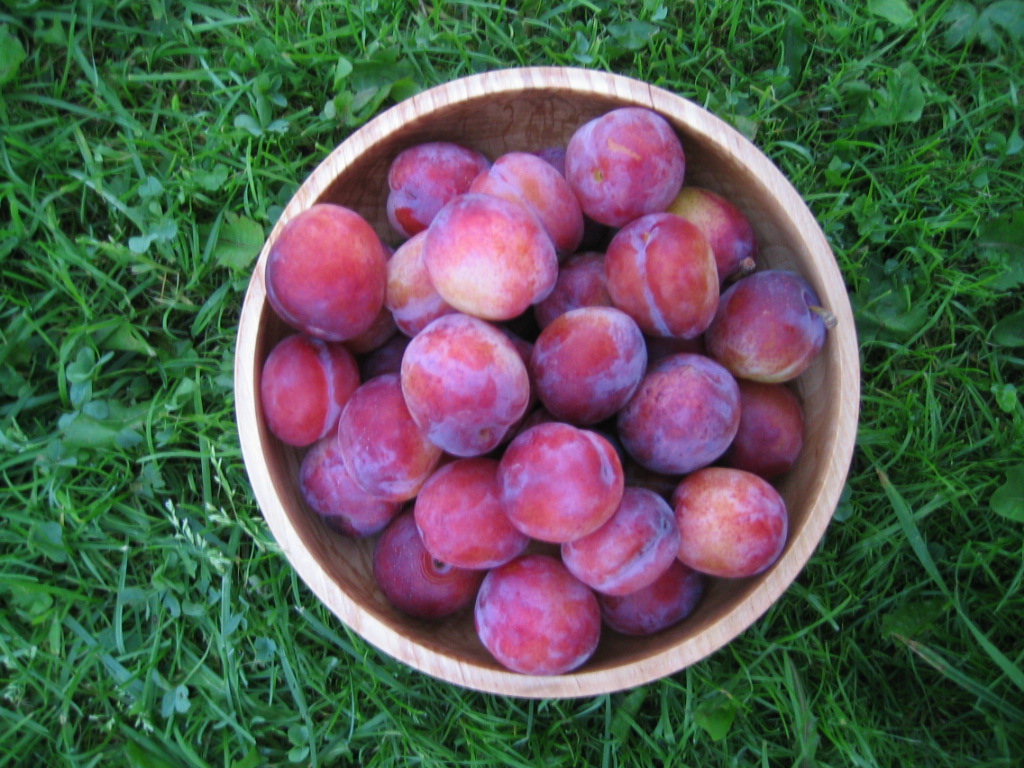 Klassefest%20Geir%20Henning%20og%20Plommer%202005%20031