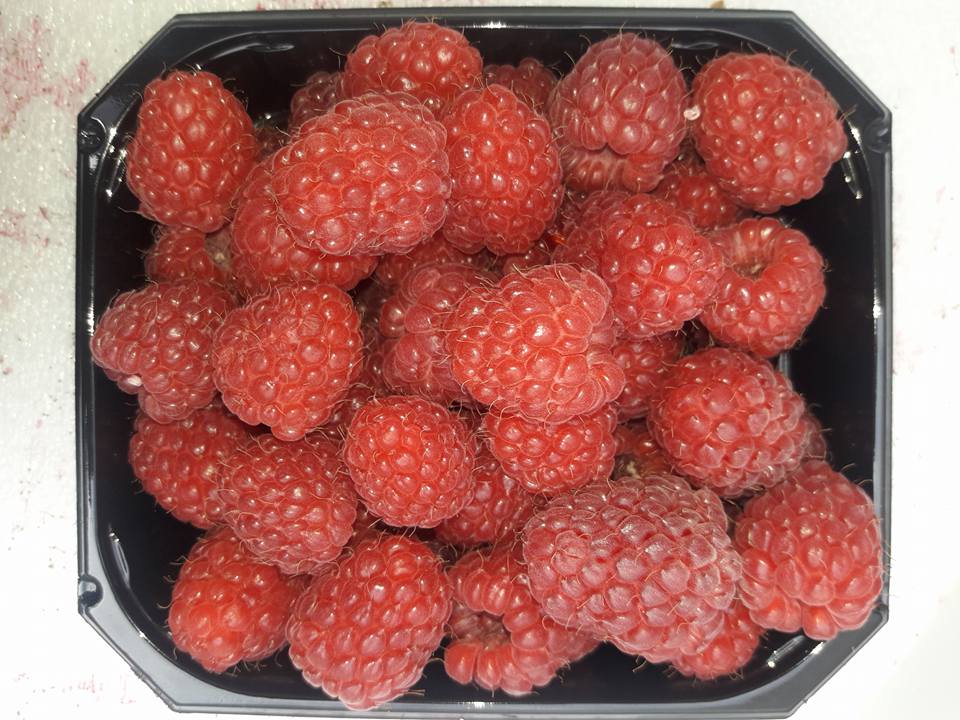 Glen%20ample%20Bringeb%C3%A6r