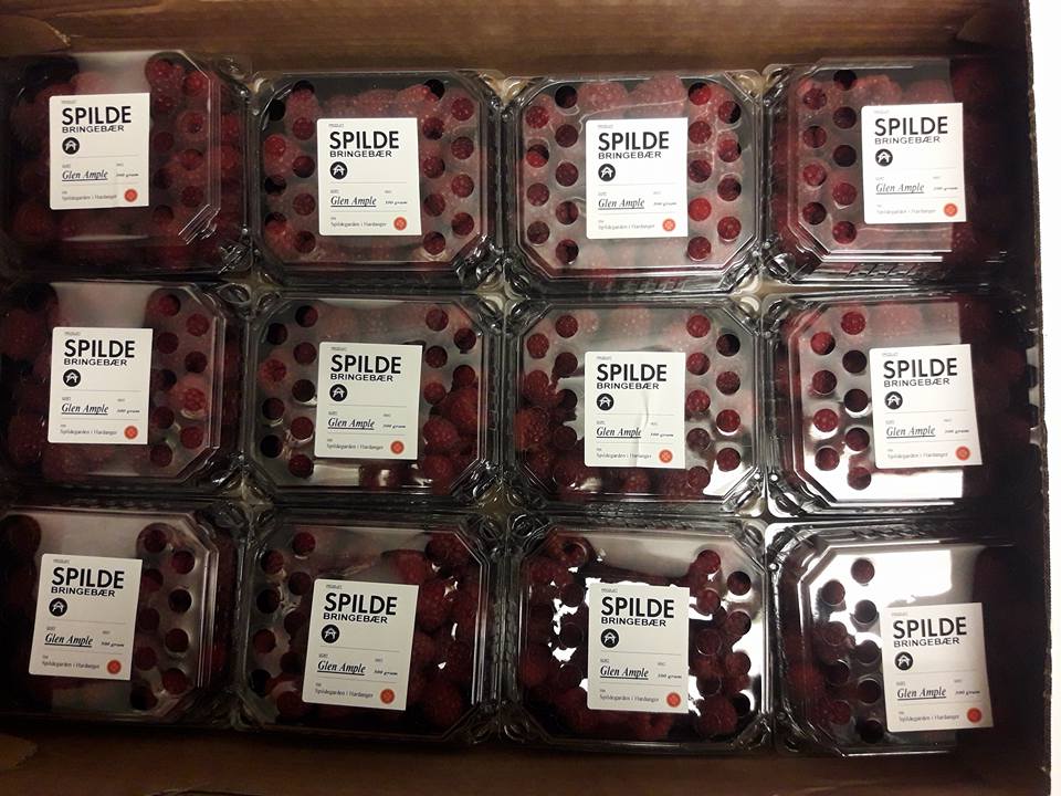 Spilde%20bringeb%C3%A6r%20i%20korger