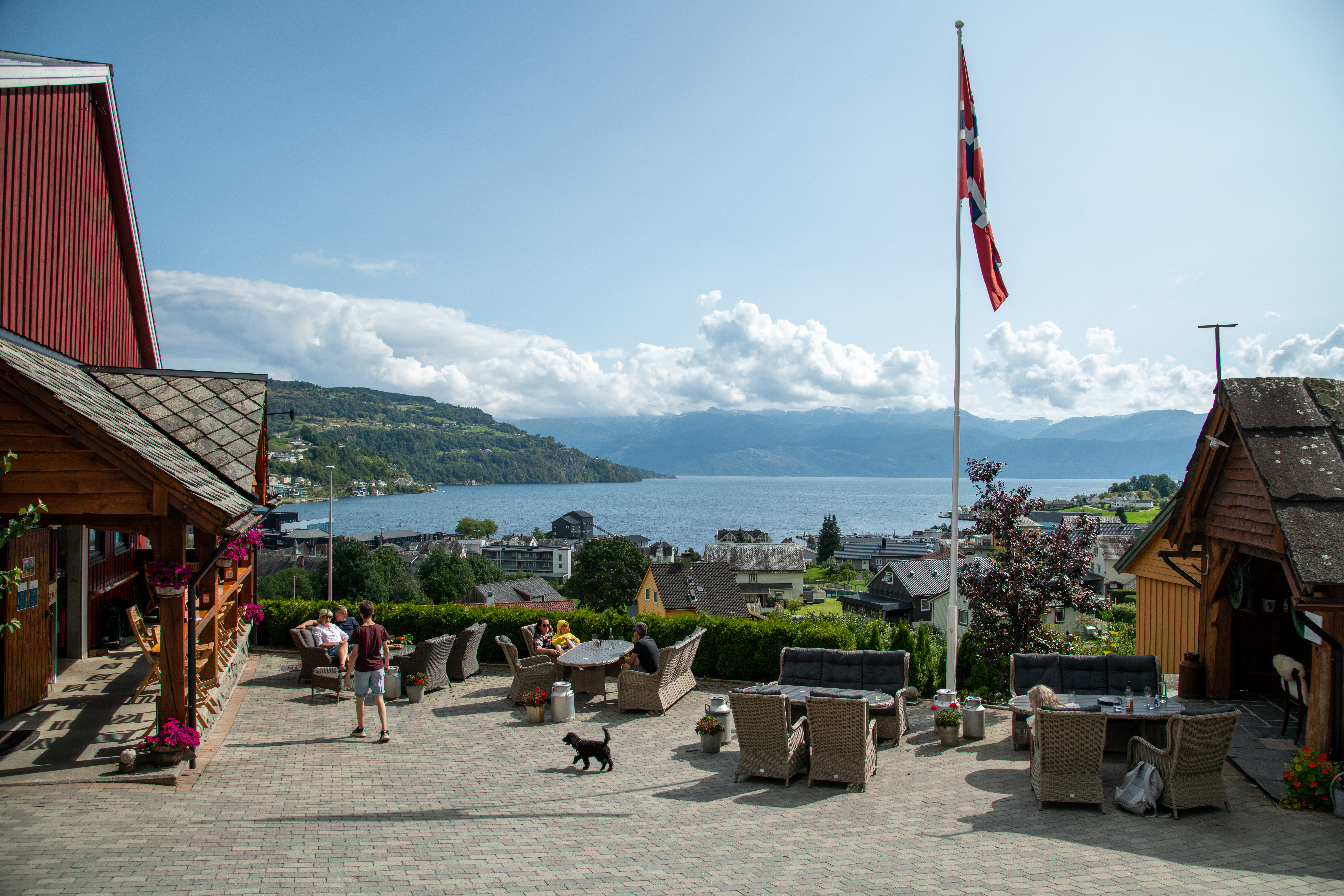 FalkeblikkAS%20-%2020210811%20HANEN%20-%20Spildegarden%20D850_0037