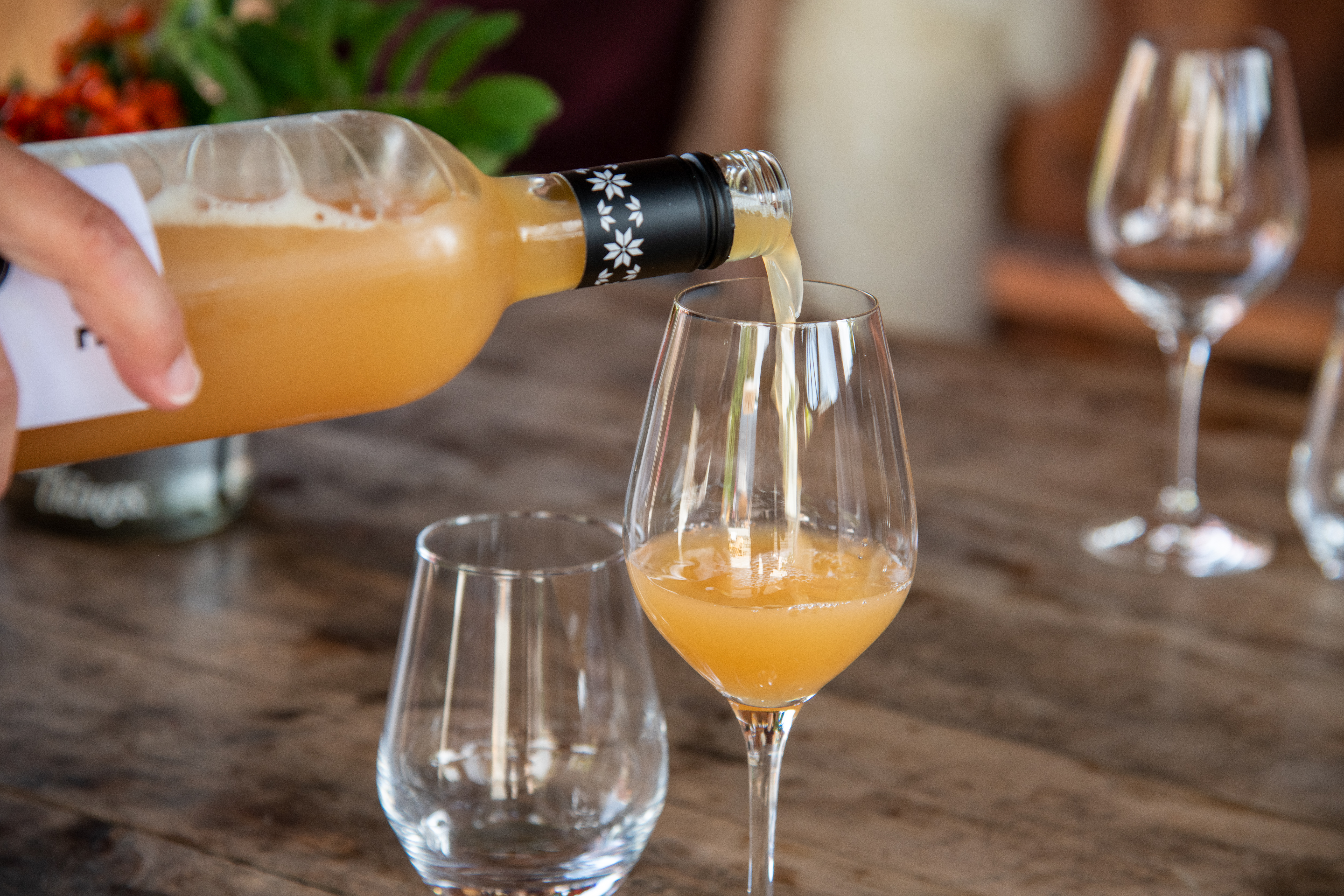 FalkeblikkAS%20-%2020210811%20HANEN%20-%20Spildegarden%20D850_9727