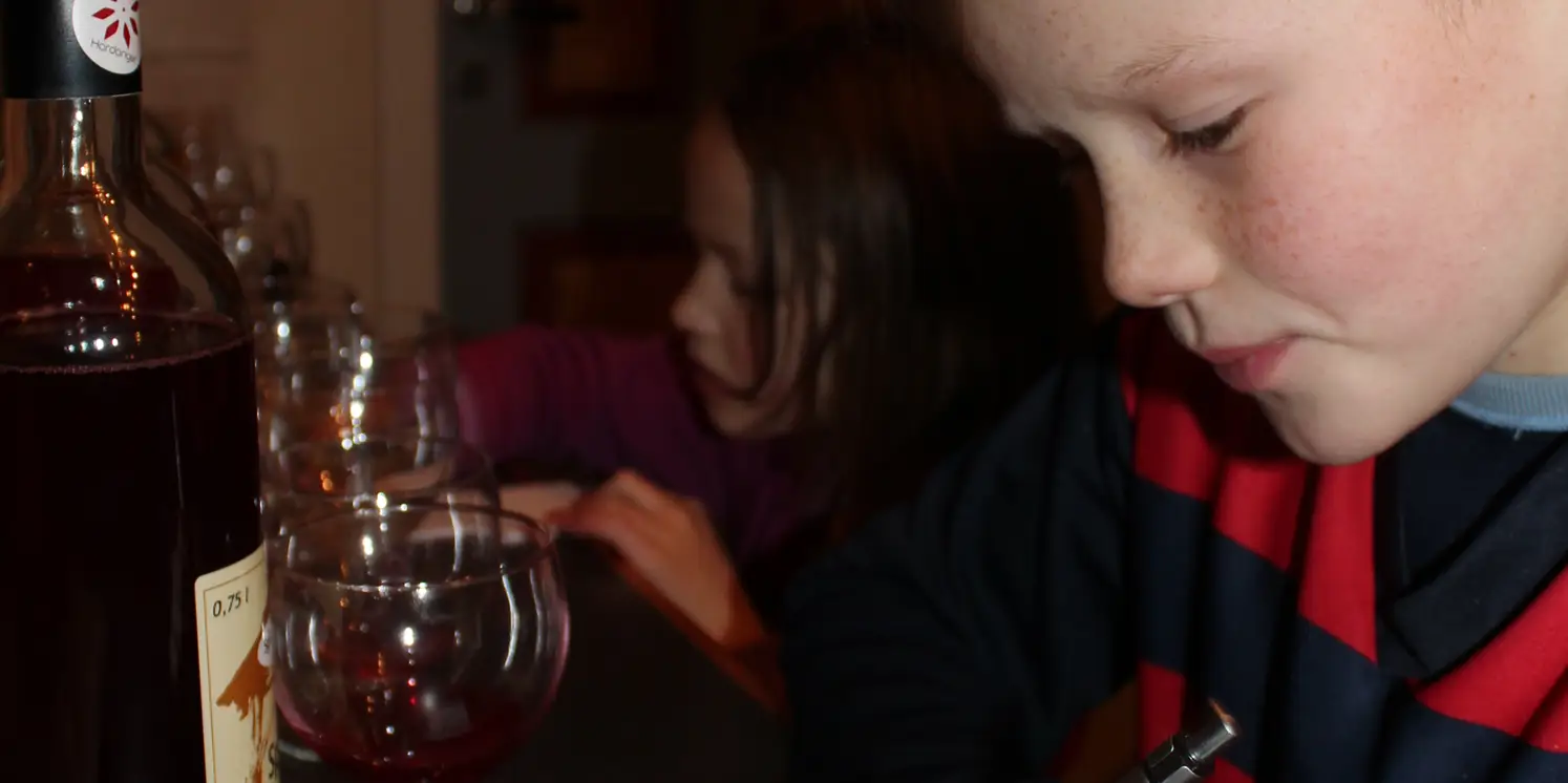 Anve%20og%20Milla%20pr%C3%B8vesmaker